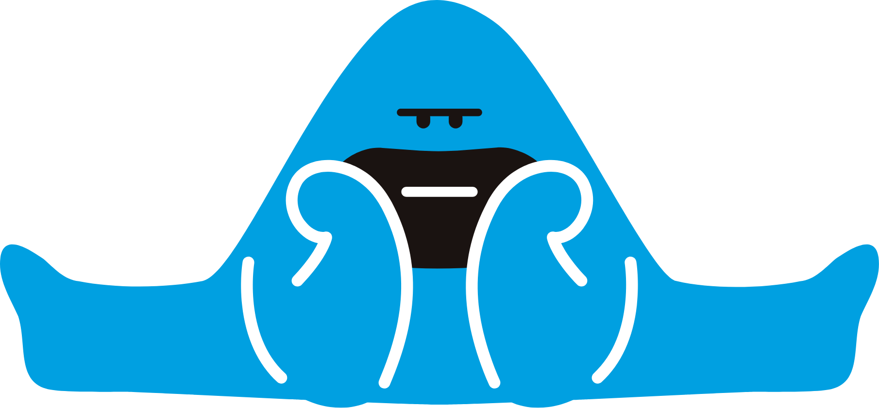 エースコングアイコン